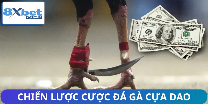 Đá Gà Cựa Dao | Luật Chơi Đến Chiến Thuật Bắt Kèo Hiệu Quả 3 Chiến thuật hợp lý khi chơi đá gà cựa dao